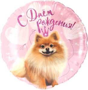 d8d15711_86e6_493f_a784_3cc232ba23c7_ced3fb01_cbcd_11ef_b62f_5c6f6916e93d