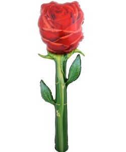 4dbc0cb4_409c_4ac8_b829_853cb9b72428_c01359ca_fa5d_11ef_b636_5c6f6916e93d