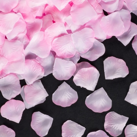 7305be9d_51c2_44e3_a48c_a16c3d491da4_824a2933_9e2c_11ee_9235_3cecef035c95