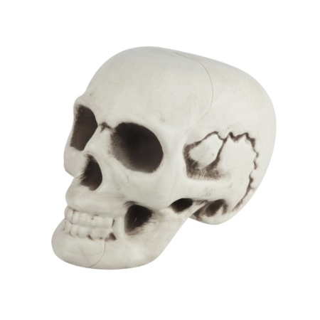 8c110b48_1c74_4150_8def_8df9c32605c7_2fff98be_47cf_11ee_9234_3cecef035c95