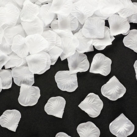 25fe050c_ba2a_49b2_9bf4_6373894b8319_8e3c4de5_9e2c_11ee_9235_3cecef035c95